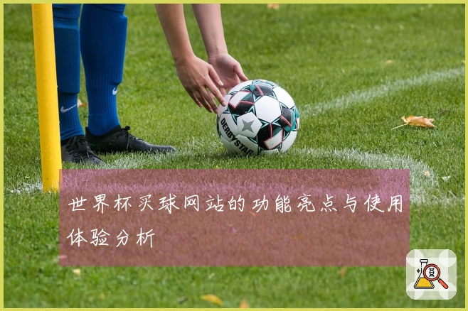 世界杯买球网站的功能亮点与使用体验分析