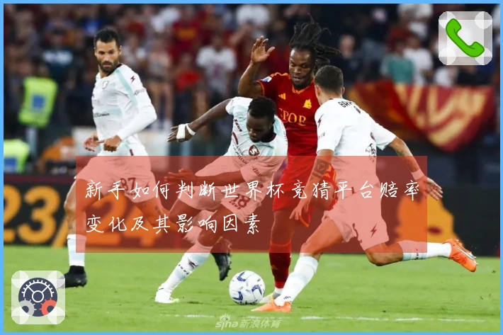 新手如何判断世界杯竞猜平台赔率变化及其影响因素