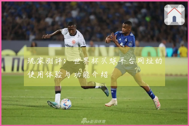 玩家测评：世界杯买球平台网址的使用体验与功能介绍