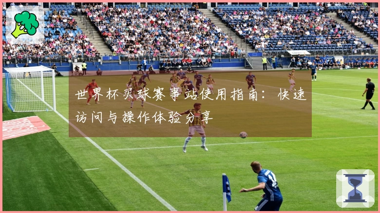 世界杯买球赛事站使用指南：快速访问与操作体验分享