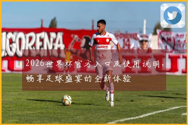 2026世界杯官方入口及使用说明，畅享足球盛宴的全新体验