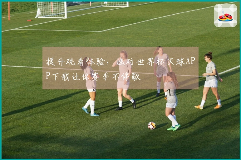 提升观看体验，选对世界杯买球APP下载让你赛季不停歇
