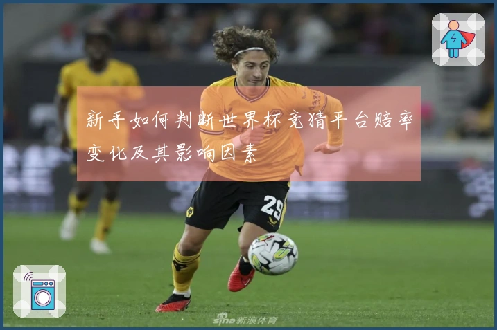新手如何判断世界杯竞猜平台赔率变化及其影响因素