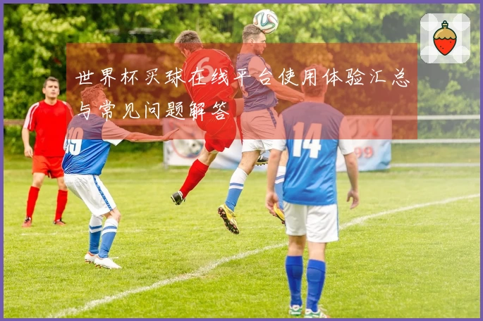 世界杯买球在线平台使用体验汇总与常见问题解答
