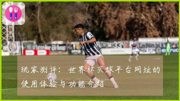 玩家测评：世界杯买球平台网址的使用体验与功能介绍