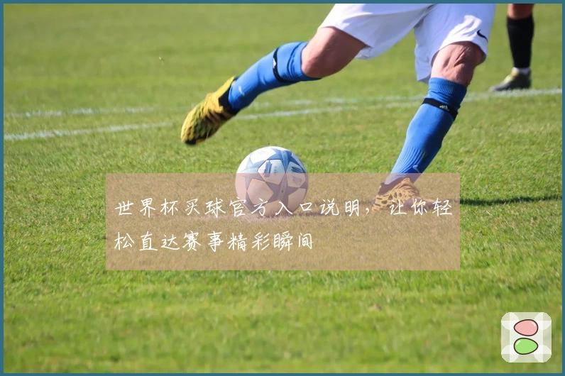 世界杯买球官方入口说明，让你轻松直达赛事精彩瞬间