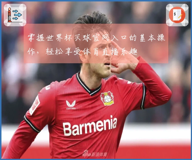 掌握世界杯买球官网入口的基本操作,轻松享受体育直播乐趣