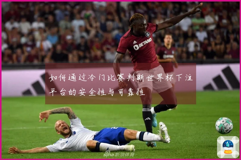 如何通过冷门比赛判断世界杯下注平台的安全性与可靠性