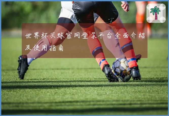 世界杯买球官网登录平台全面介绍及使用指南