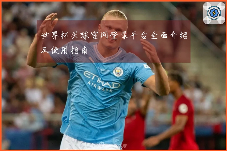世界杯买球官网登录平台全面介绍及使用指南