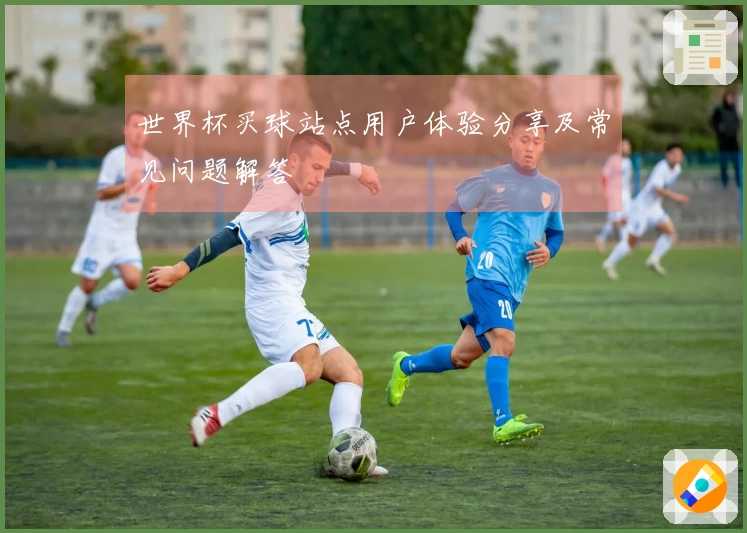 世界杯买球站点用户体验分享及常见问题解答