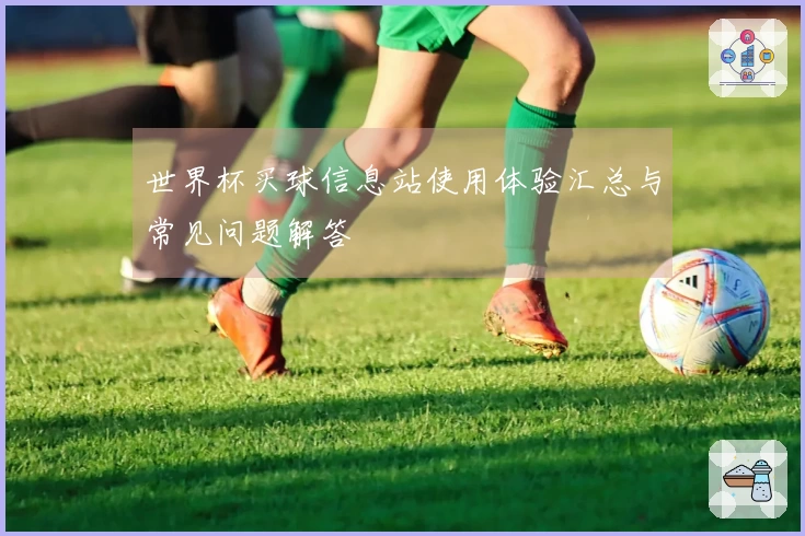 世界杯买球信息站使用体验汇总与常见问题解答